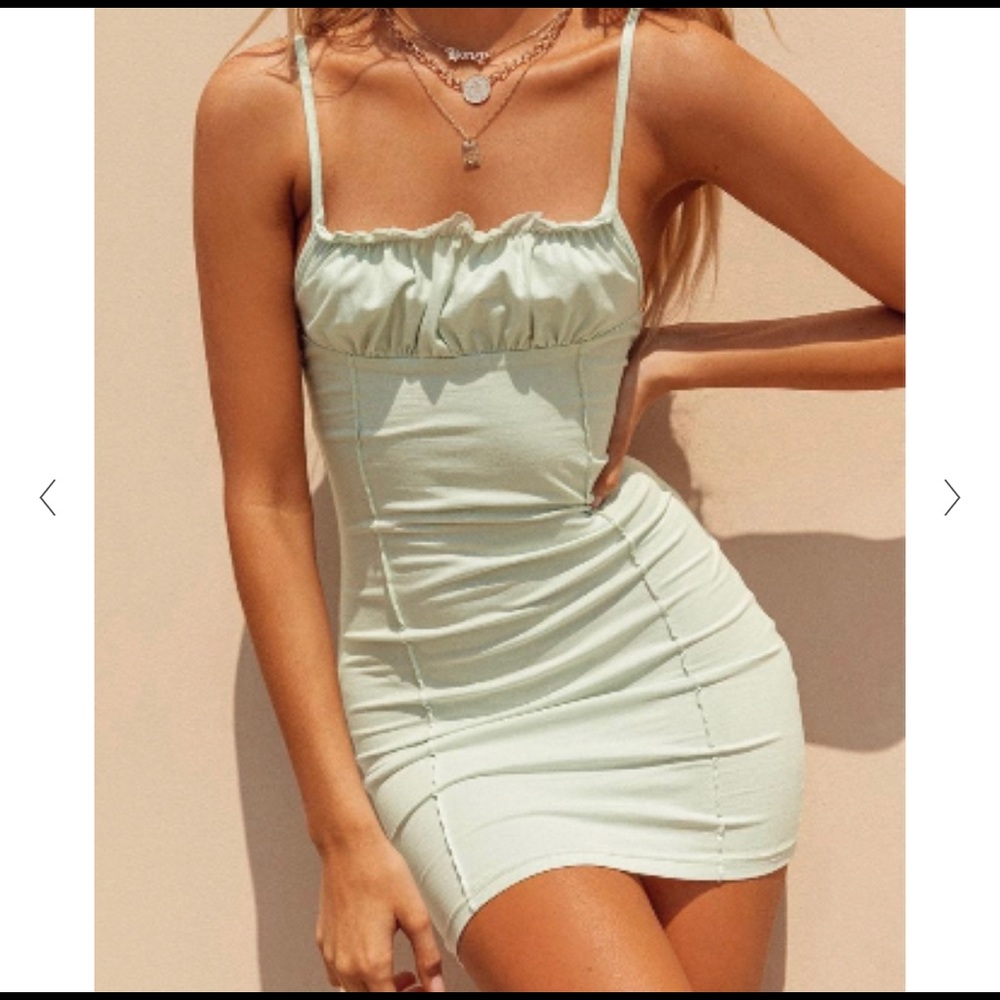 Princess polly Roseberry mini dress
